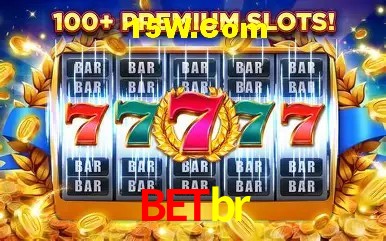 Sistemas de Segurança Betbr